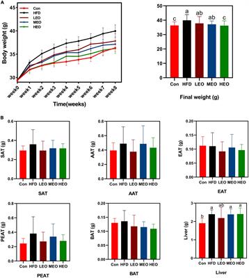 Effects of essential oil extracted from Artemisia argyi leaf on lipid metabolism and gut microbiota in high-fat diet-fed mice